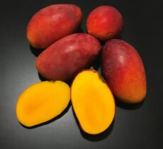 Manga Rubi Enxertada